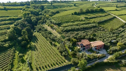 Degustazione Olio Extravergine del Garda: Tour Panoramico ed Esperienza Sensoriale 11 Degustazione Olio Extravergine del Garda: Tour Panoramico ed Esperienza Sensoriale 11